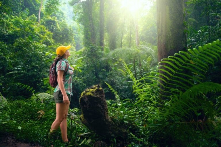 The Future of Eco-Conscious Travel: 2026 Guide to Sustainable Hotels